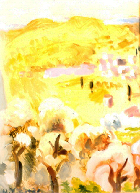 180 environs de st paul de vence